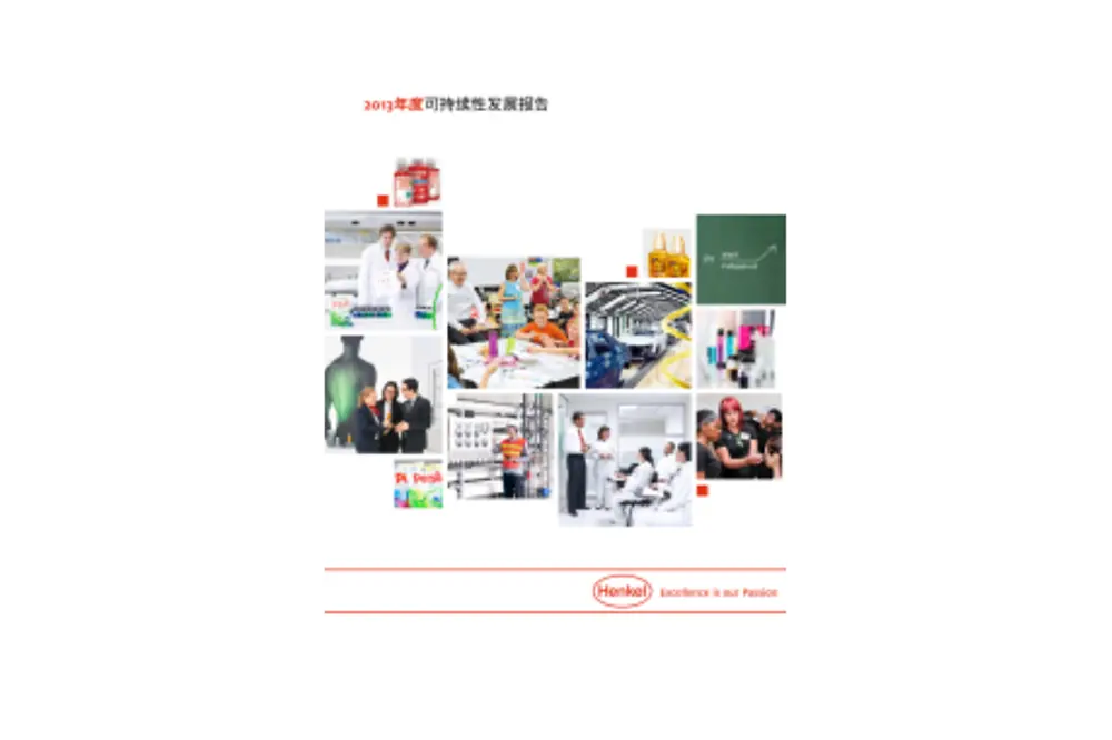 2013-sustainability-report-zh-cn.pdfpreviewimage
